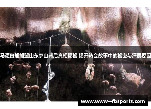 马德鲁加加盟山东泰山背后真相揭秘 揭开转会故事中的秘密与深层原因